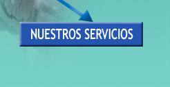 Nuestros Servicios. Control de Plagas. Des Vall